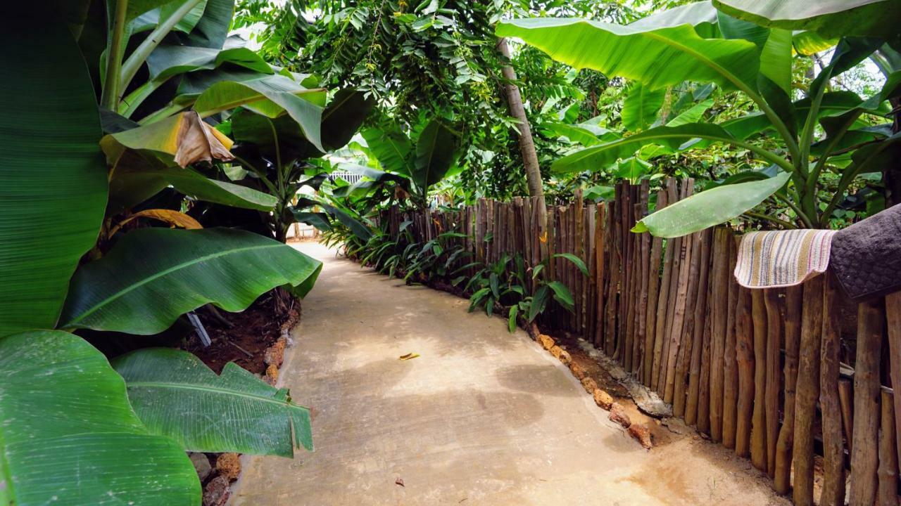 The Family Kingdom Resort Freetown Esterno foto